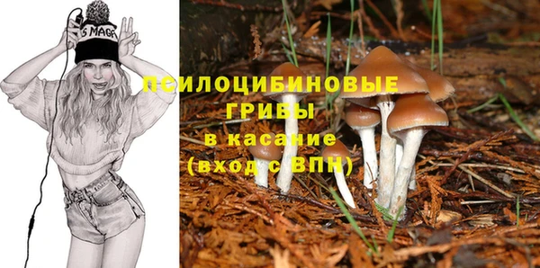 mdpv Киреевск