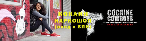кокс Алексин
