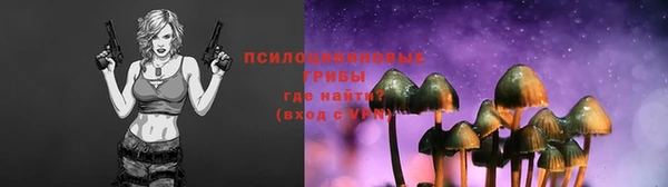 ешки Абаза