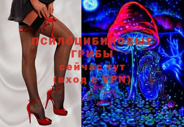 кокс Алексин