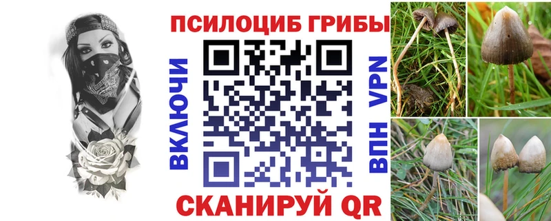 Галлюциногенные грибы Magic Shrooms  Тимашёвск 